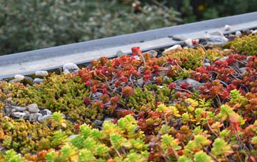 the cost of West Chirton green roof installation
