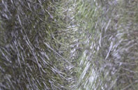 West Chirton fibreglass roof work